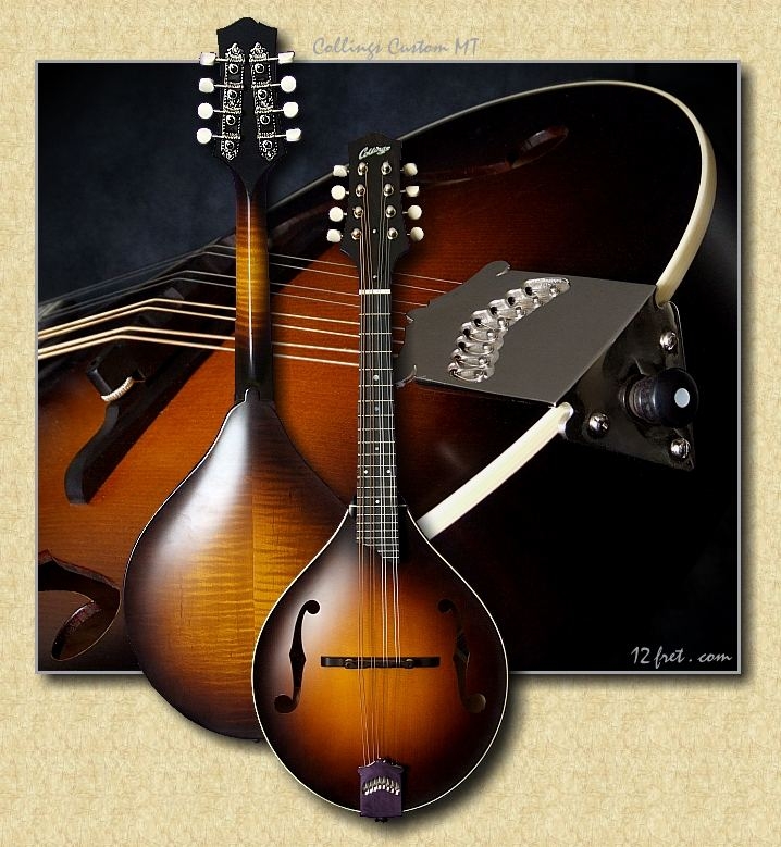 Collings MT Mandolin