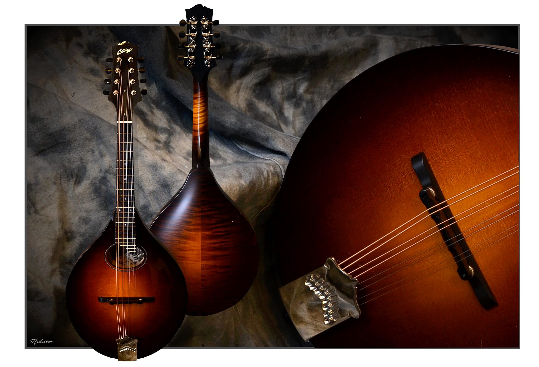 Collings_MTO-GT