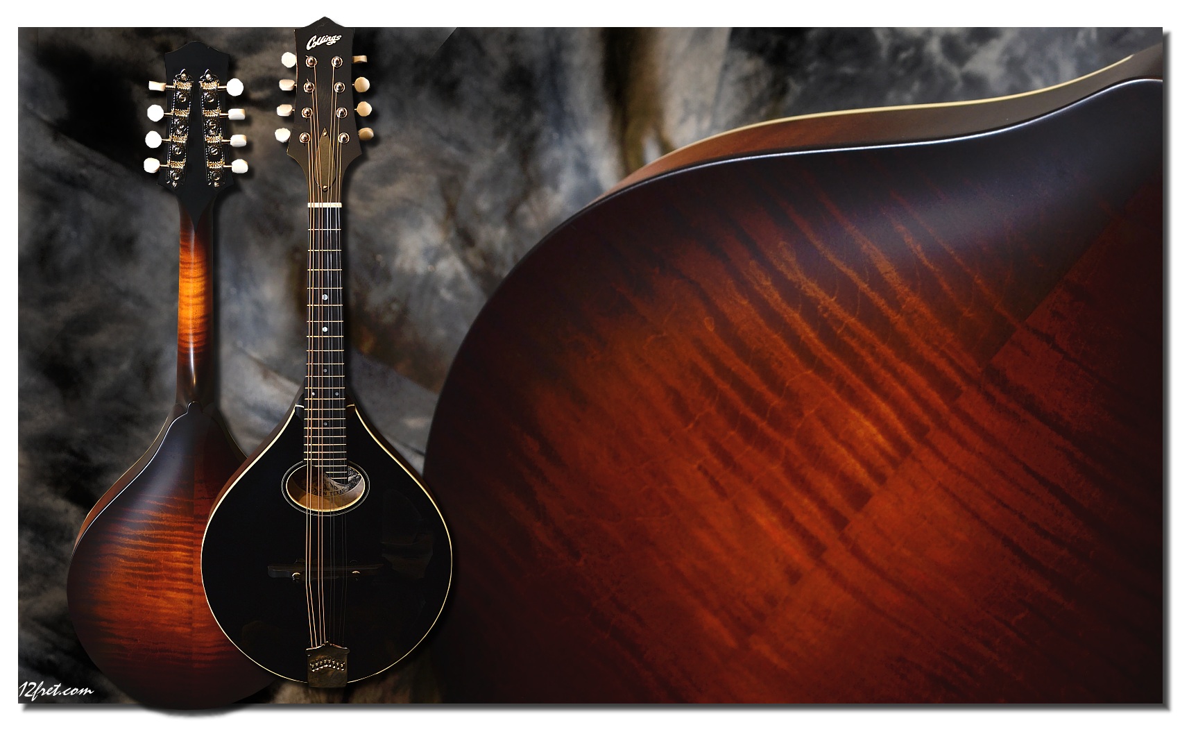 Collings MTO Blackface mandolin www.12fret