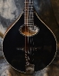 Collings_MTO_Mandolin_Top