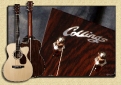 Collings_OM2HEcw Custom