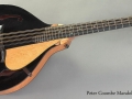 Peter Coombe Mandola 2005 full front view