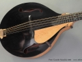 Peter Coombe Mandola 2005 top