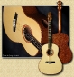 de_Jonge_Sapele_guitar