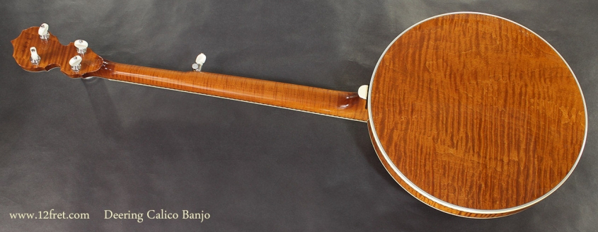 Deering Calico Banjo full rear view