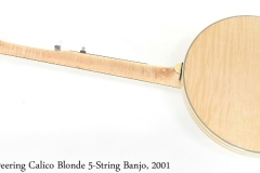 Deering Calico Blonde 5-String Banjo, 2001 Full Rear View