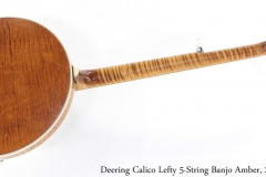 Deering Calico Lefty 5-String Banjo Amber, 2010 Full Rear View