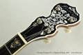 Deering Clawgrass No. 2 Openback Banjo, 2016 Head Front View