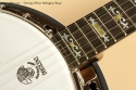 Deering Deluxe Mahogany Banjo inlay