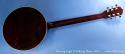 Deering Eagle II Six String Banjo Full Rear View