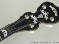 Deering Eagle II 5-String Banjo, 2011 Head Front