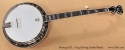 Deering GDL Greg Deering Limited Banjo full front view