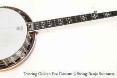 Deering Golden Era Custom 5-String Banjo Sunburst, 2016   Full Rear View