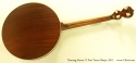 Deering Sierra 17-Fret Tenor Banjo 2011 full rear view