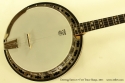 Deering Sierra 17-Fret Tenor Banjo 2011 top