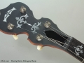 Deering Sierra Mahogany Banjo Head Front