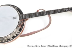 Deering Sierra Tenor 19 Fret Banjo Mahogany, 2013 Full Front View