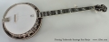 Deering Tenbrooks Saratoga Star Banjo Full Front View