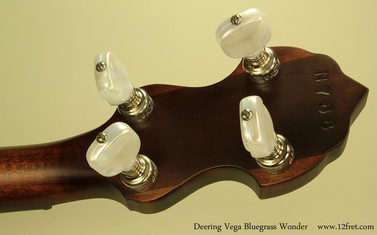 Deering-vega-bluegrass-wonder-ss-head-rear-1