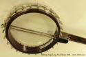 Deering Vega Long Neck Banjo back