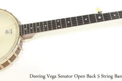 Deering Vega Senator Open Back 5 String Banjo, 2008   Full Front View