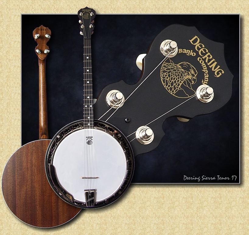 The Deering Sierra Tenor Banjo