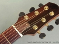 Sergei de Jonge Brazilian Steel String 2006 head front