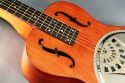 Dobro_Hound_dog_top_detail_1