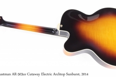 Eastman AR-503ce Cutaway Electric Archtop Sunburst, 2014 Full Rear View