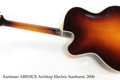Eastman AR810CE Archtop Electric Sunburst, 2006 Full Rear View