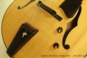 Eastman John Pisano archtop 2006 controls