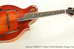 Eastman MD815/V F-Style F-Hole Mandolin Antique Varnish Full Front View