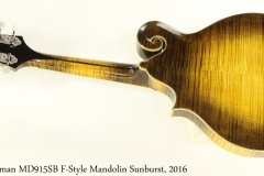 Eastman MD915SB F-Style Mandolin Sunburst, 2016 Full Rear View