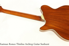 Eastman Romeo Thinline Archtop Guitar Sunburst Full Rear View