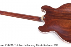 Eastman T186MX Thinline Hollowbody Classic Sunburst, 2011 Full Rear View