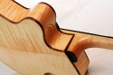 eastman_pagelli_pg2_cutaway_1