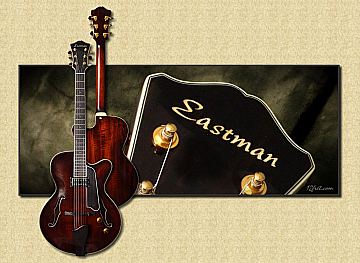 Eastman_T145_Thinline_Small