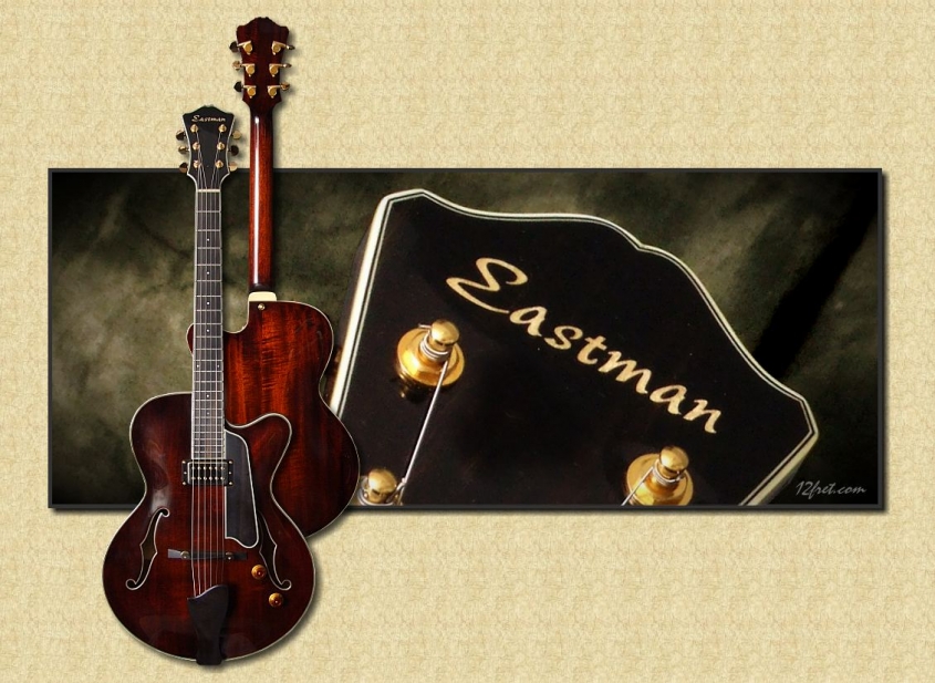 Eastman_T145_Thinline