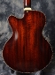 Eastman_T145_Thinline_Back