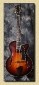 Eastman_T145sm_Sunburst