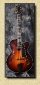 Eastman_T145sm_Sunburst_sml