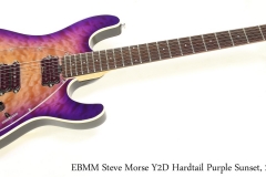 EBMM Steve Morse Y2D Hardtail Purple Sunset, 2015 Full Front View