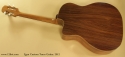 Egan Custom Tenor Guitar 2012 full rear view