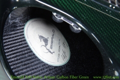 Emerald X20-Nylon Artisan Carbon Fiber Green Label View