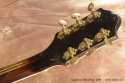 Epiphone Broadway Archtop 1939 head rear