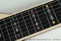 Epiphone Electar Zephyr Steel 1943 fingerboard