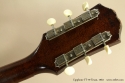 Epiphone Texan FT-79 1963 head rear