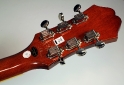 Epiphone_casino_IBJL_sb_head_rear_1