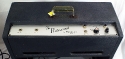 Epiphone_professional_1963_EA-7P_amp_controls_1