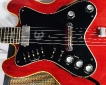 Epiphone_professional_1963_pickguard_2